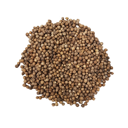 Bigpack Coriander Seeds | 1 kg