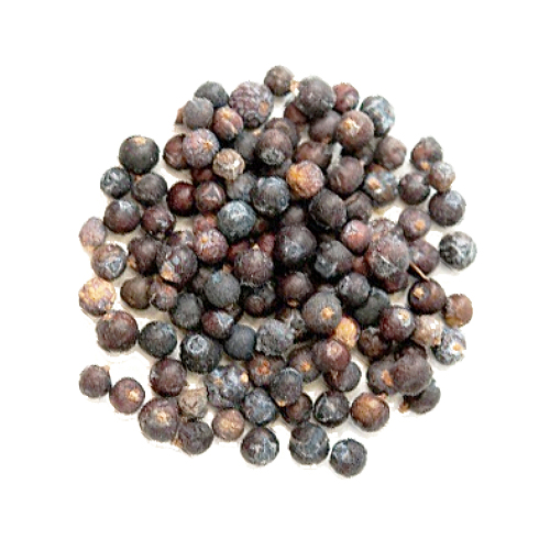 Juniper Berries | Dried | 25 g
